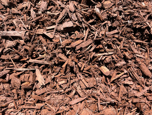 Carolina Dyed Brown