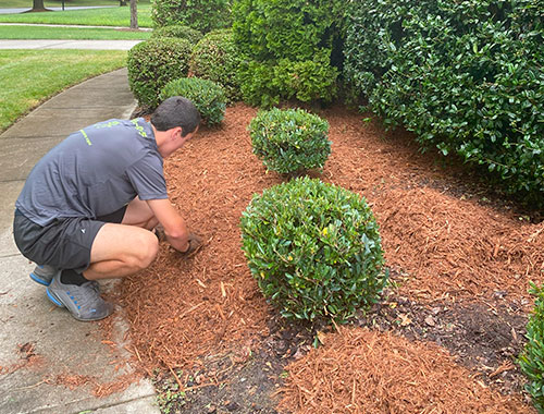 Customer Supplies Mulch<br>(price shown is for installation only)