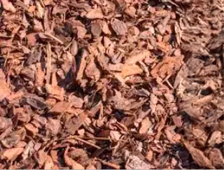 Mini Pinebark Nuggets